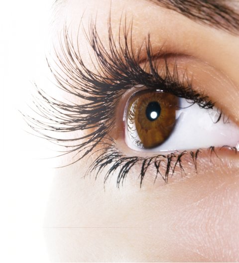 eyelash curl wimper permanent